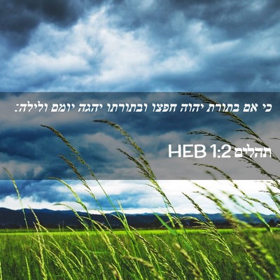 Picture 02 - תהלים 1:2 HEB - כי אם בתורת יהוה חפצו - Bible Verse Picture