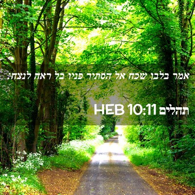 Picture 02 - תהלים 10:11 HEB - אמר בלבו שכח אל הסתיר פניו - Bible Verse Picture