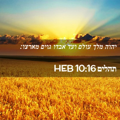 Picture 02 - תהלים 10:16 HEB - יהוה מלך עולם ועד אבדו גוים - Bible Verse Picture