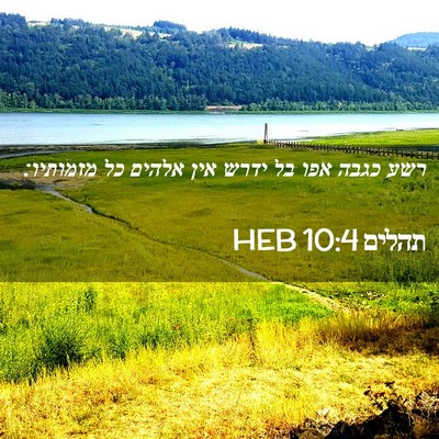 Picture 02 - תהלים 10:4 HEB - רשע כגבה אפו בל ידרש אין - Bible Verse Picture