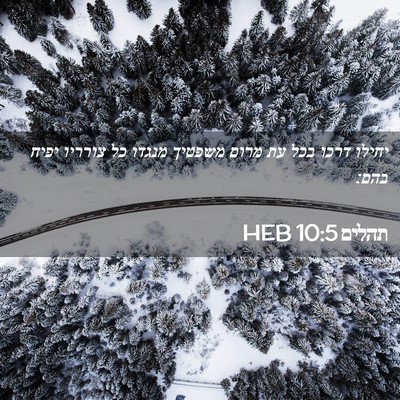 Picture 02 - תהלים 10:5 HEB - יחילו דרכו בכל עת מרום - Bible Verse Picture