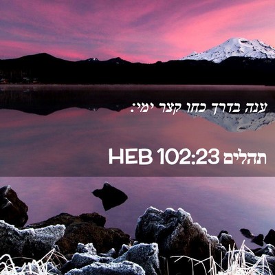 Picture 02 - תהלים 102:23 HEB - ענה בדרך כחו קצר - Bible Verse Picture