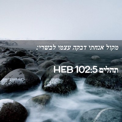 Picture 02 - תהלים 102:5 HEB - מקול אנחתי דבקה עצמי - Bible Verse Picture