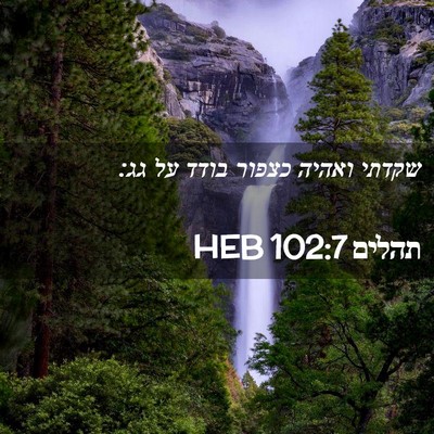 Picture 02 - תהלים 102:7 HEB - שקדתי ואהיה כצפור בודד על - Bible Verse Picture