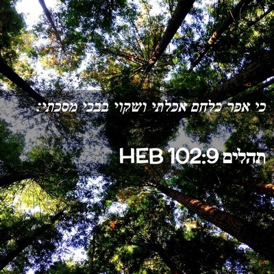 Picture 02 - תהלים 102:9 HEB - כי אפר כלחם אכלתי ושקוי - Bible Verse Picture