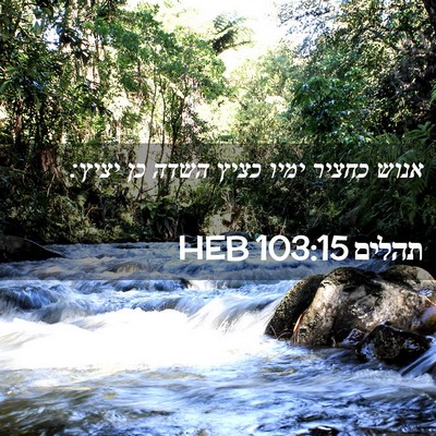Picture 02 - תהלים 103:15 HEB - אנוש כחציר ימיו כציץ השדה - Bible Verse Picture