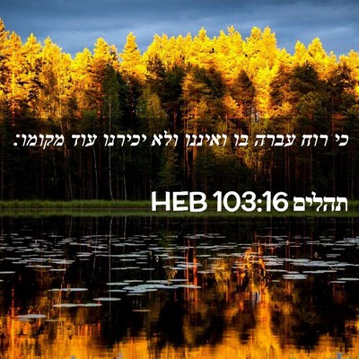 Picture 02 - תהלים 103:16 HEB - כי רוח עברה בו ואיננו ולא - Bible Verse Picture