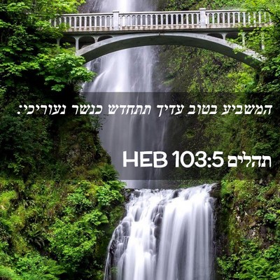 Picture 02 - תהלים 103:5 HEB - המשביע בטוב עדיך תתחדש - Bible Verse Picture