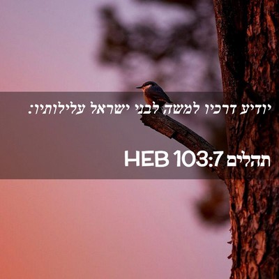 Picture 02 - תהלים 103:7 HEB - יודיע דרכיו למשה לבני - Bible Verse Picture
