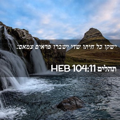 Picture 02 - תהלים 104:11 HEB - ישקו כל חיתו שדי ישברו - Bible Verse Picture