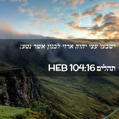 Picture 02 - תהלים 104:16 HEB - ישבעו עצי יהוה ארזי לבנון - Bible Verse Picture
