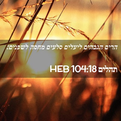 Picture 02 - תהלים 104:18 HEB - הרים הגבהים ליעלים סלעים - Bible Verse Picture