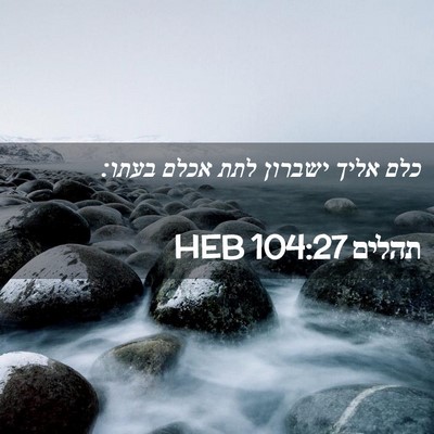 Picture 02 - תהלים 104:27 HEB - כלם אליך ישברון לתת אכלם - Bible Verse Picture