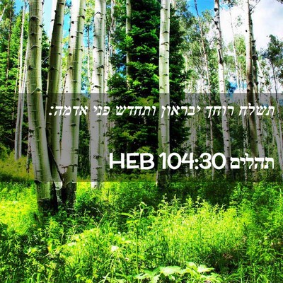 Picture 02 - תהלים 104:30 HEB - תשלח רוחך יבראון ותחדש פני - Bible Verse Picture