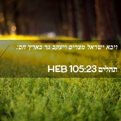 Picture 02 - תהלים 105:23 HEB - ויבא ישראל מצרים ויעקב גר - Bible Verse Picture