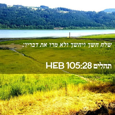 Picture 02 - תהלים 105:28 HEB - שלח חשך ויחשך ולא מרו את - Bible Verse Picture