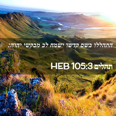 Picture 02 - תהלים 105:3 HEB - התהללו בשם קדשו ישמח לב - Bible Verse Picture