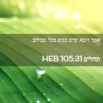 Picture 02 - תהלים 105:31 HEB - אמר ויבא ערב כנים בכל - Bible Verse Picture