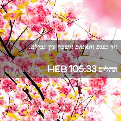 Picture 02 - תהלים 105:33 HEB - ויך גפנם ותאנתם וישבר עץ - Bible Verse Picture