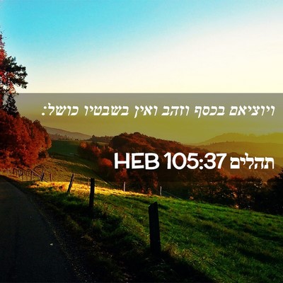 Picture 02 - תהלים 105:37 HEB - ויוציאם בכסף וזהב ואין - Bible Verse Picture