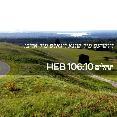 Picture 02 - תהלים 106:10 HEB - ויושיעם מיד שונא ויגאלם - Bible Verse Picture