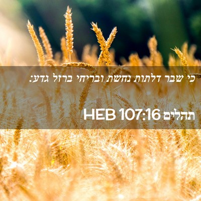 Picture 02 - תהלים 107:16 HEB - כי שבר דלתות נחשת ובריחי - Bible Verse Picture
