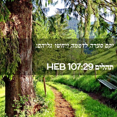 Picture 02 - תהלים 107:29 HEB - יקם סערה לדממה ויחשו - Bible Verse Picture