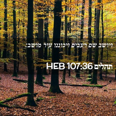 Picture 02 - תהלים 107:36 HEB - ויושב שם רעבים ויכוננו עיר - Bible Verse Picture