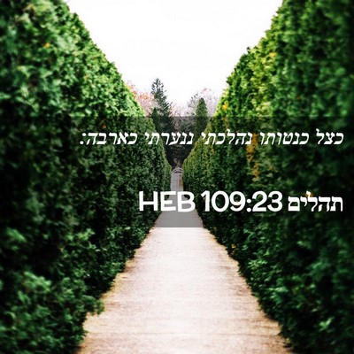 Picture 02 - תהלים 109:23 HEB - כצל כנטותו נהלכתי ננערתי - Bible Verse Picture