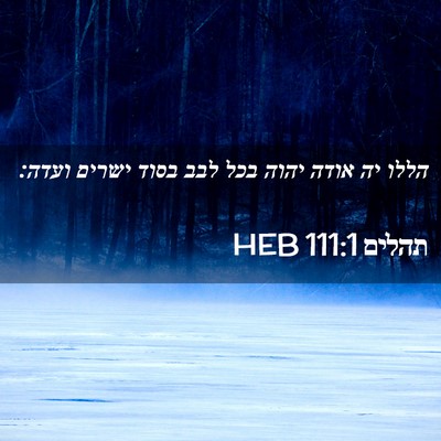 Picture 02 - תהלים 111:1 HEB - הללו יה אודה יהוה בכל לבב - Bible Verse Picture