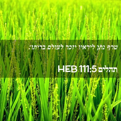 Picture 02 - תהלים 111:5 HEB - טרף נתן ליראיו יזכר לעולם - Bible Verse Picture