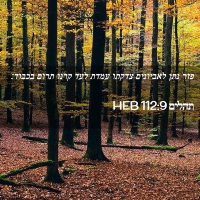 Picture 02 - תהלים 112:9 HEB - פזר נתן לאביונים צדקתו - Bible Verse Picture