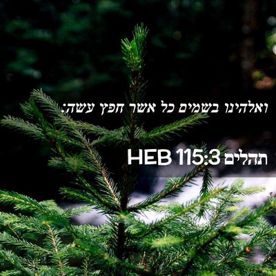 Picture 02 - תהלים 115:3 HEB - ואלהינו בשמים כל אשר חפץ - Bible Verse Picture
