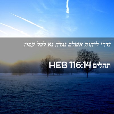 Picture 02 - תהלים 116:14 HEB - נדרי ליהוה אשלם נגדה נא לכל - Bible Verse Picture