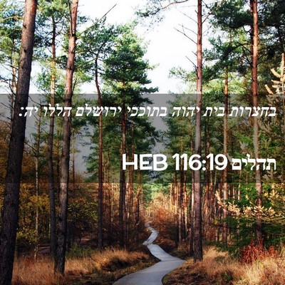 Picture 02 - תהלים 116:19 HEB - בחצרות בית יהוה בתוככי - Bible Verse Picture
