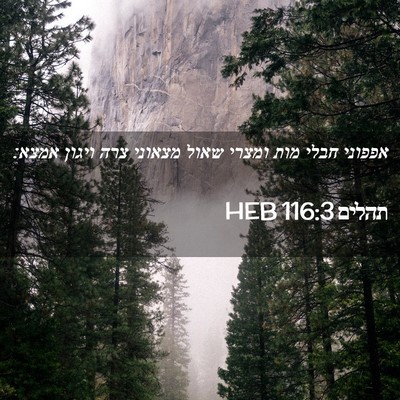 Picture 02 - תהלים 116:3 HEB - אפפוני חבלי מות ומצרי שאול - Bible Verse Picture