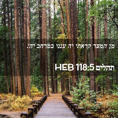 Picture 02 - תהלים 118:5 HEB - מן המצר קראתי יה ענני במרחב - Bible Verse Picture