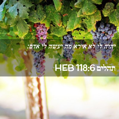 Picture 02 - תהלים 118:6 HEB - יהוה לי לא אירא מה יעשה לי - Bible Verse Picture