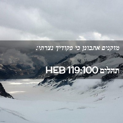 Picture 02 - תהלים 119:100 HEB - מזקנים אתבונן כי פקודיך - Bible Verse Picture