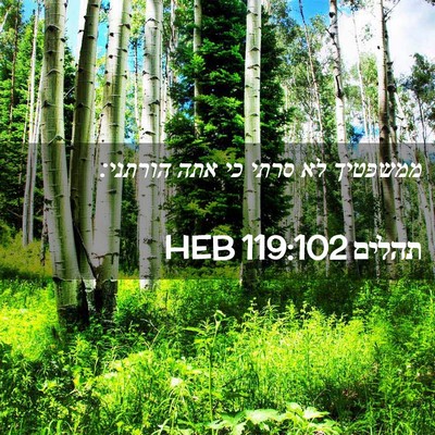 Picture 02 - תהלים 119:102 HEB - ממשפטיך לא סרתי כי אתה - Bible Verse Picture