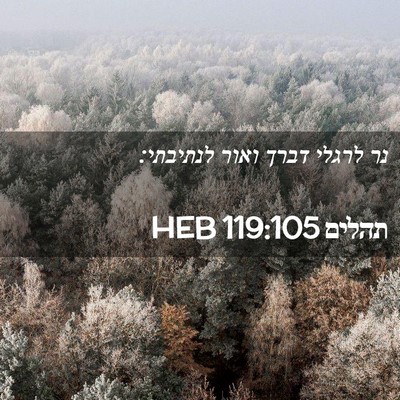 Picture 02 - תהלים 119:105 HEB - נר לרגלי דברך ואור - Bible Verse Picture