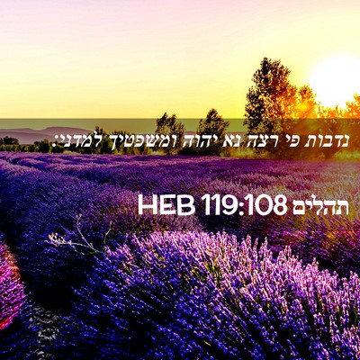 Picture 02 - תהלים 119:108 HEB - נדבות פי רצה נא יהוה - Bible Verse Picture