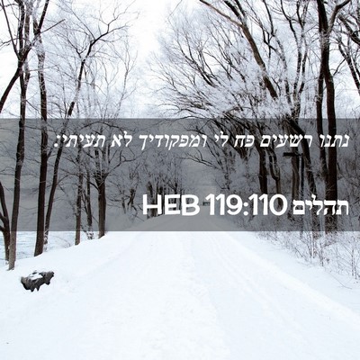 Picture 02 - תהלים 119:110 HEB - נתנו רשעים פח לי ומפקודיך - Bible Verse Picture