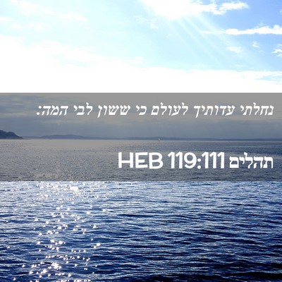Picture 02 - תהלים 119:111 HEB - נחלתי עדותיך לעולם כי ששון - Bible Verse Picture