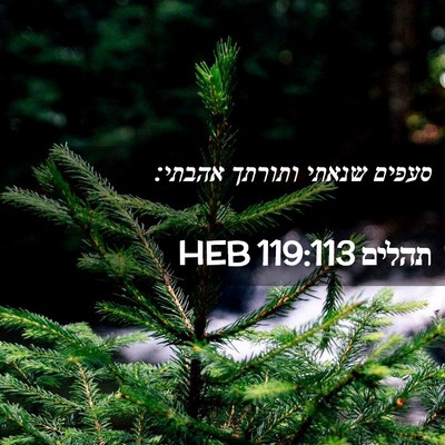 Picture 02 - תהלים 119:113 HEB - סעפים שנאתי ותורתך - Bible Verse Picture