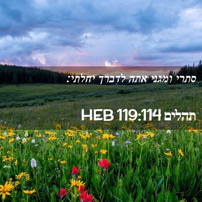 Picture 02 - תהלים 119:114 HEB - סתרי ומגני אתה לדברך - Bible Verse Picture