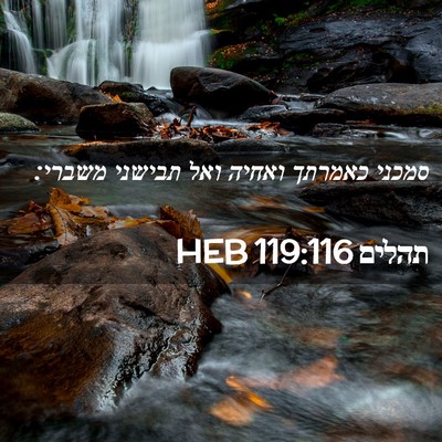 Picture 02 - תהלים 119:116 HEB - סמכני כאמרתך ואחיה ואל - Bible Verse Picture