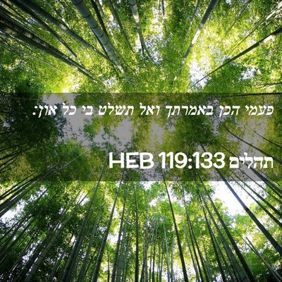 Picture 02 - תהלים 119:133 HEB - פעמי הכן באמרתך ואל תשלט בי - Bible Verse Picture