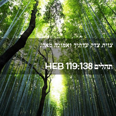 Picture 02 - תהלים 119:138 HEB - צוית צדק עדתיך ואמונה - Bible Verse Picture