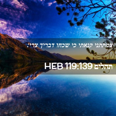 Picture 02 - תהלים 119:139 HEB - צמתתני קנאתי כי שכחו דבריך - Bible Verse Picture